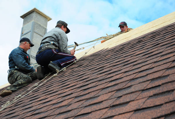 Quick and Trustworthy Emergency Roof Repair Services in West View, PA